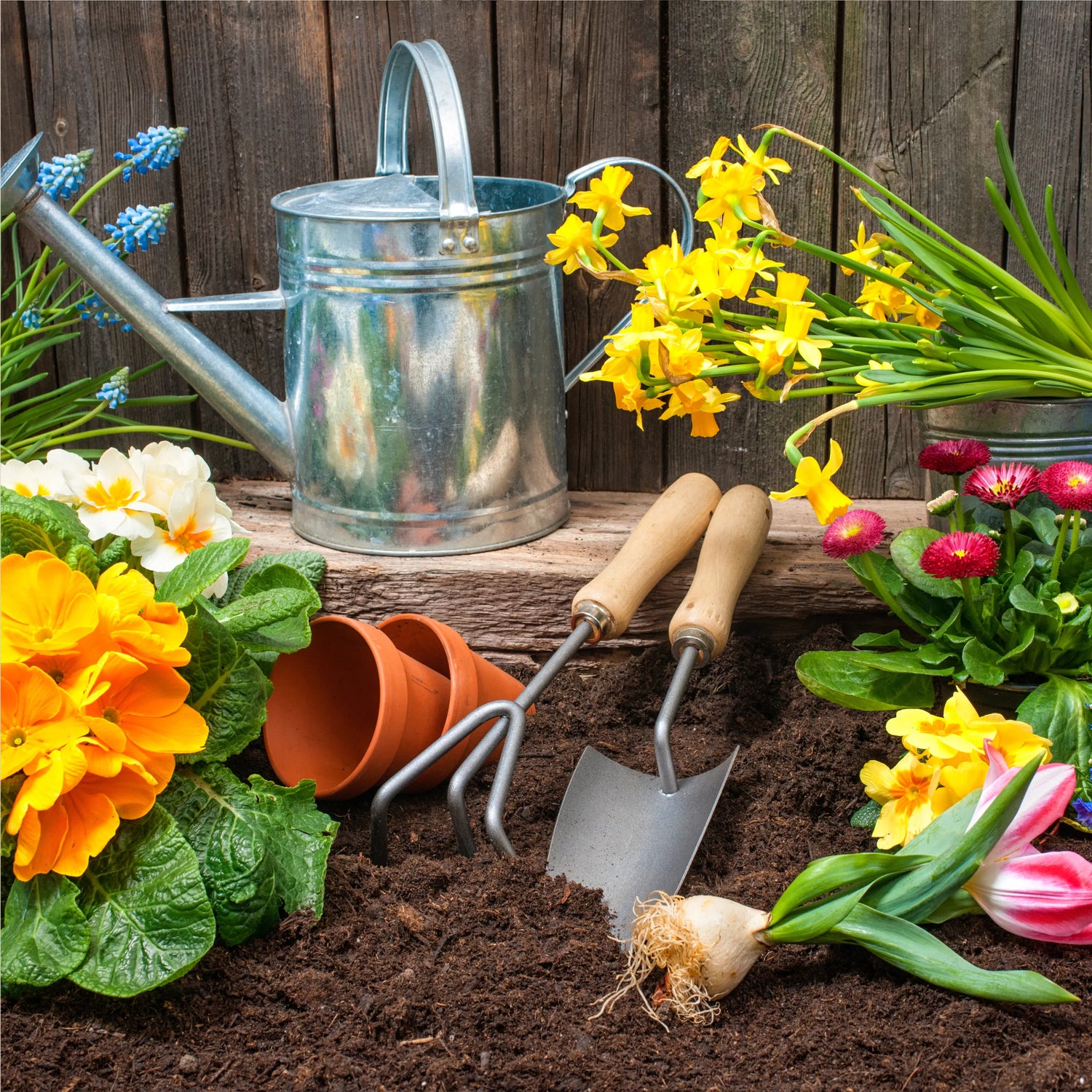 Meistern-Sie-Ihren-Garten-Grundlegende-Werkzeuge-und-Techniken-für-den-modernen-Gärtner GrowIt24