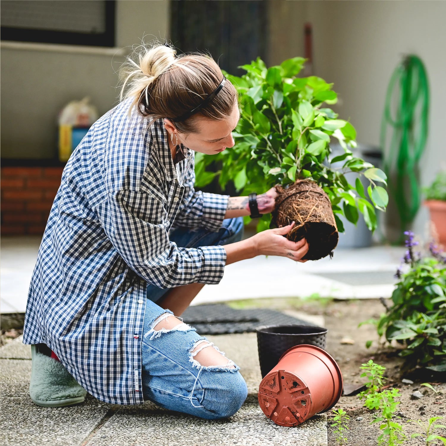 Die-Kunst-des-biologischen-Gartenbaus-Eine-nachhaltige-Grünfläche-kultivieren GrowIt24