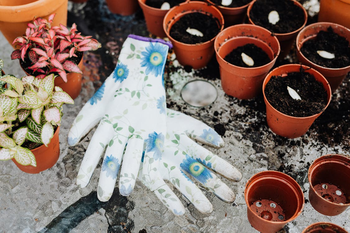 Indoor-Garten leicht gemacht: notwendige Ausrüstung für gesunde Pflanzen