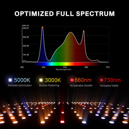 Spider Farmer SF4000 LED Growbox-Komplettset | 120x120x200cm XXL Grow-Zelt | 2025 Edition mit 450W 301H EVO Grow Light