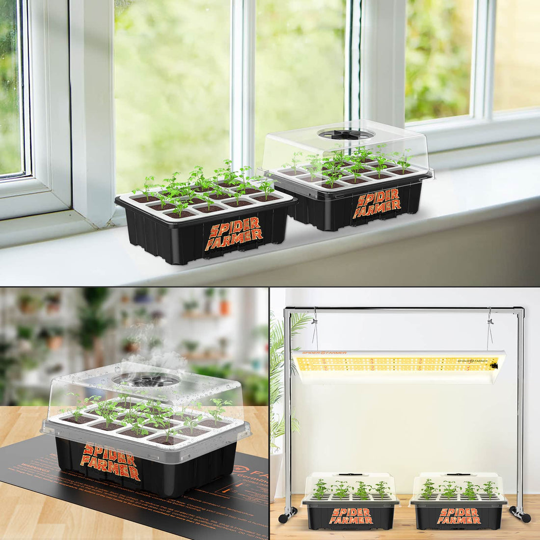 Spider Farmer Seed Starter Trays – Perfekt für Ihre Pflanzenanzucht