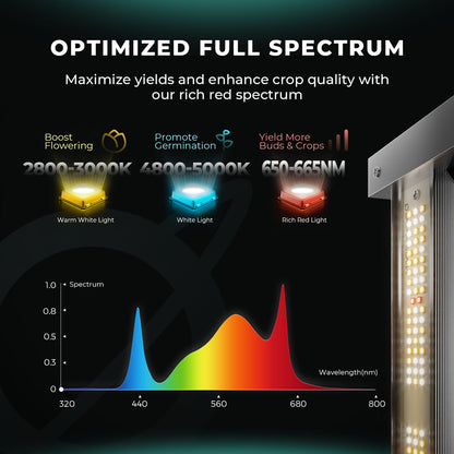 Mars Hydro FC4000-EVO LED Grow Light | 400W Vollspektrum Pflanzenlampe | Smart LED-Growlampe für 120x120cm Zelte