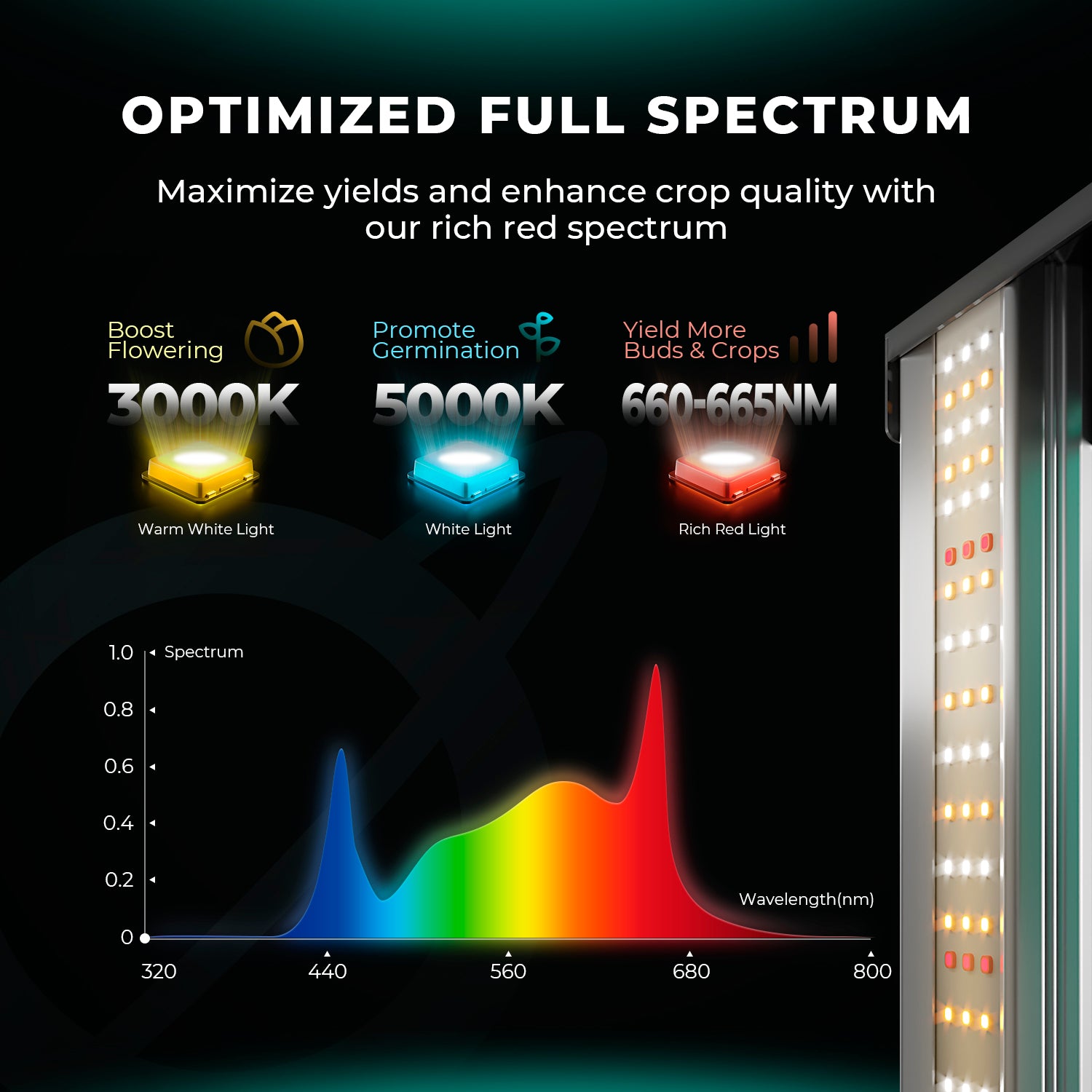 Mars Hydro FC1000W-EVO LED Grow Light | 1000W Vollspektrum Pflanzenlampe | Smart LED-Growlampe für professionelle Anbauer