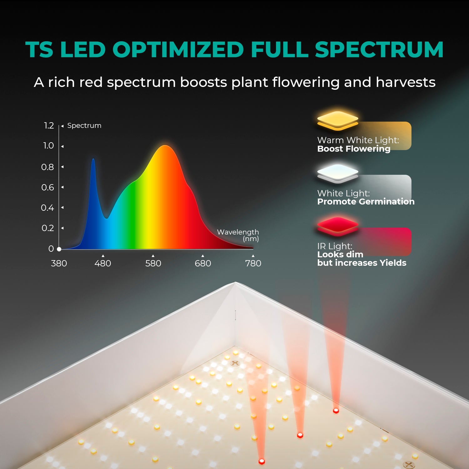 Mars Hydro TS 600 LED Grow Light | 100W Vollspektrum Pflanzenlampe für Indoor-Anbau | Energieeffiziente Growlampe für Gemüse, Kräuter &amp; Blumen