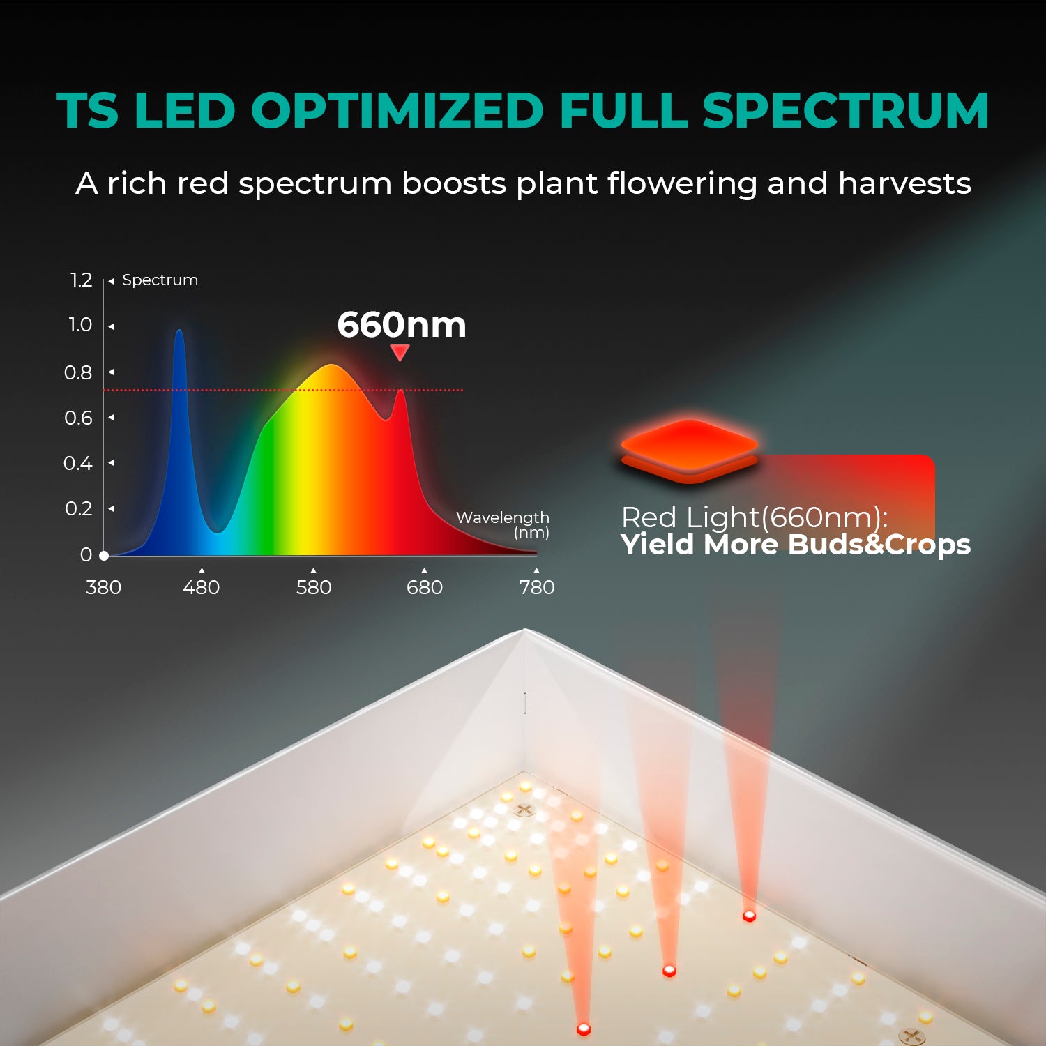 Mars Hydro TS 1000 LED Grow Light | 150W Vollspektrum Pflanzenlampe | Dimmbare LED-Growlampe für 1-3 Pflanzen