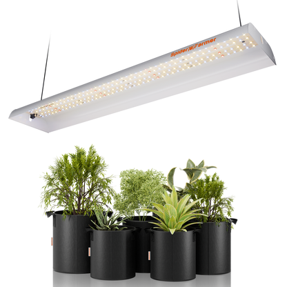 Spider Farmer SF300 LED-Zuchtlampe | Kompakte Kraft für Ihr Indoor-Gartenprojekt