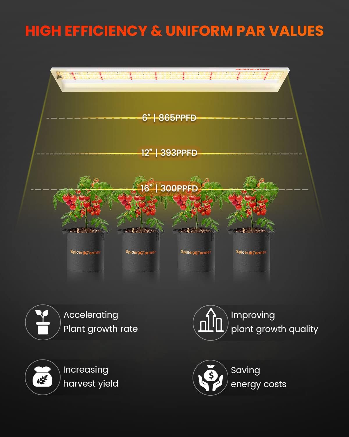 Spider Farmer SF300 LED-Zuchtlampe | Kompakte Kraft für Ihr Indoor-Gartenprojekt