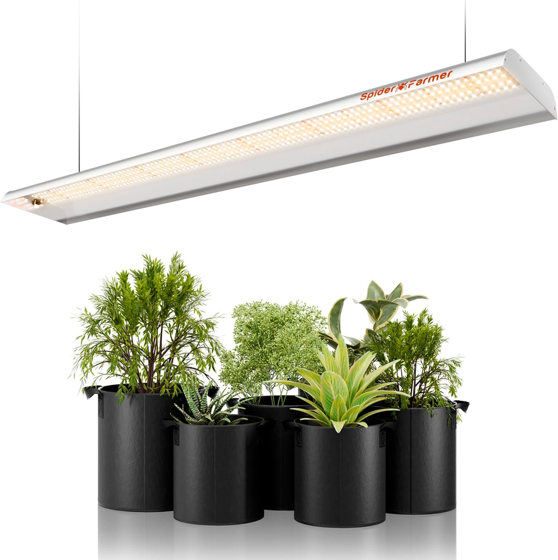 Spider Farmer SF600 LED Grow Light – Kompakte LED Beleuchtung für Pflanzenwachstum